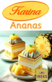 KARINA Ananas 250g